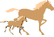 horses